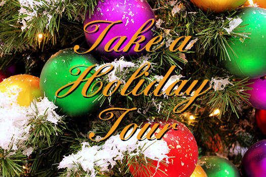Holiday Tours